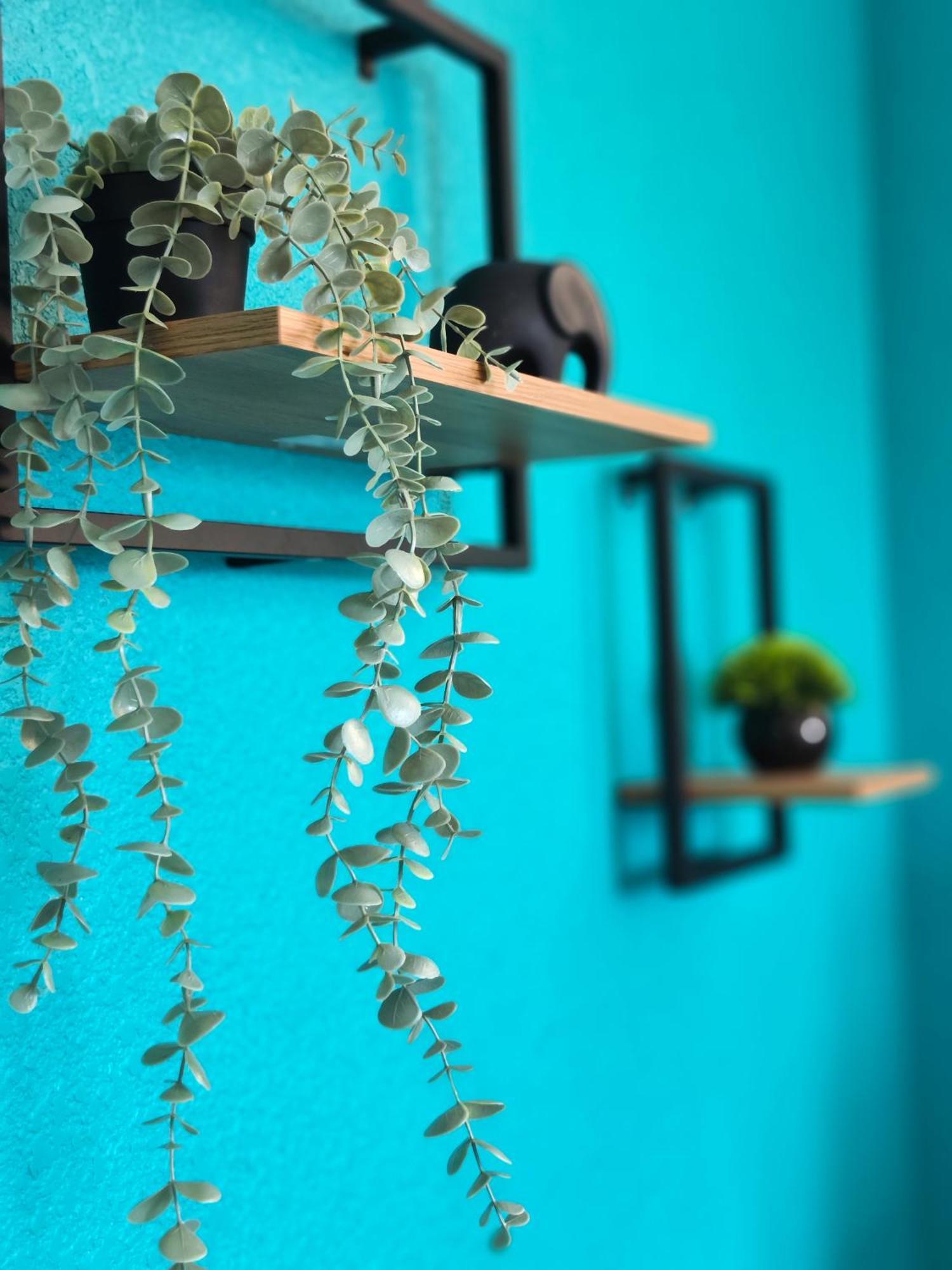 Best One Room Apartments Muncaci Exterior foto