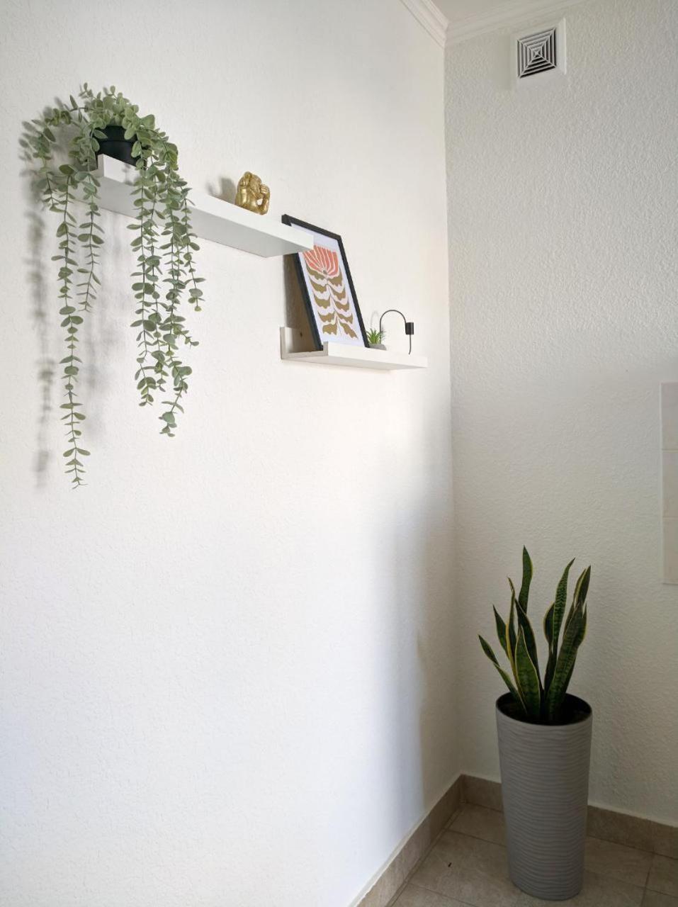 Best One Room Apartments Muncaci Exterior foto